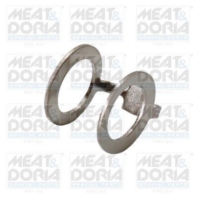 Seal Ring, injector